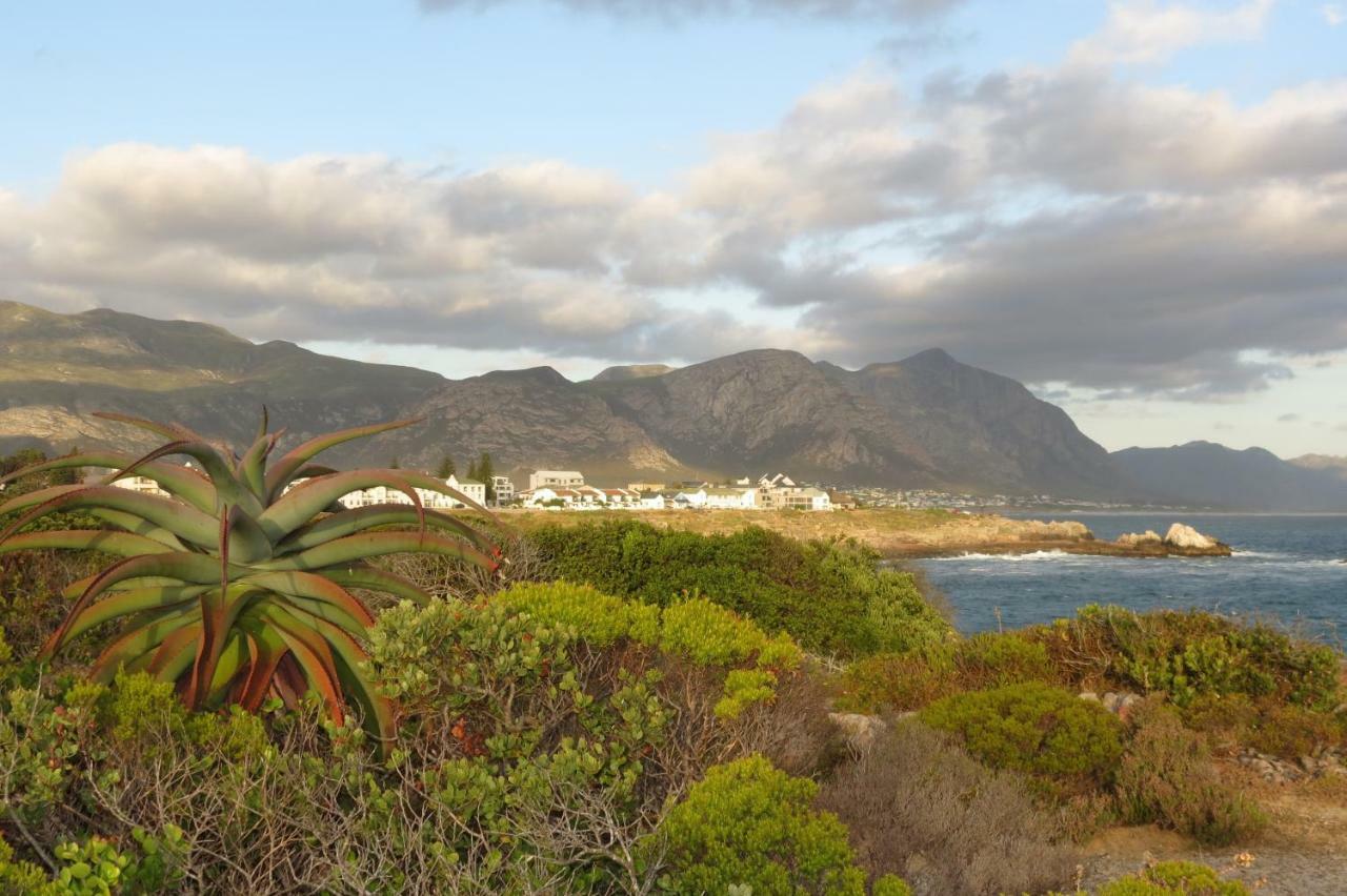 Albatross Apartment Hermanus Luaran gambar